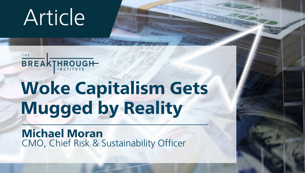 Woke Capitalism Gets Mugged By Reality : Microshare.io - Digitizing The ...