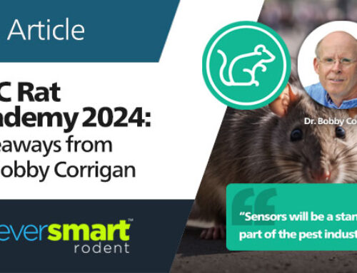 NYC Rat Academy 2024: Takeaways from Dr. Bobby Corrigan