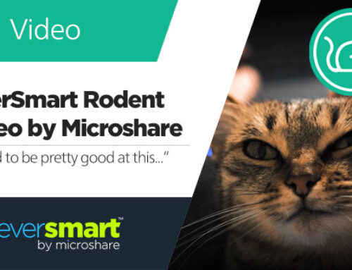 Catnip-EverSmart Rodent video – by Microshare