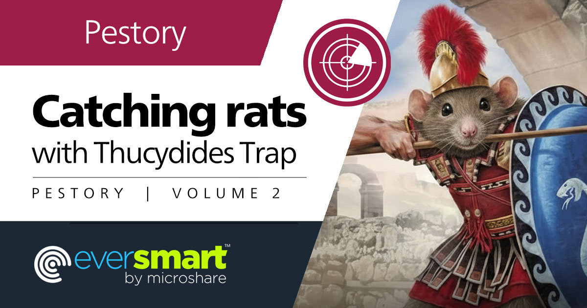 Micro Rats Catching rats with Thucydides Trap
